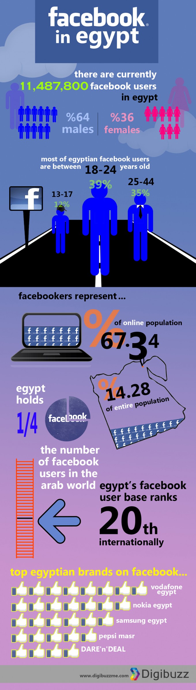 infographic facebook statistics in Egypt