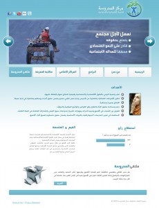 MCSD web site intrface design